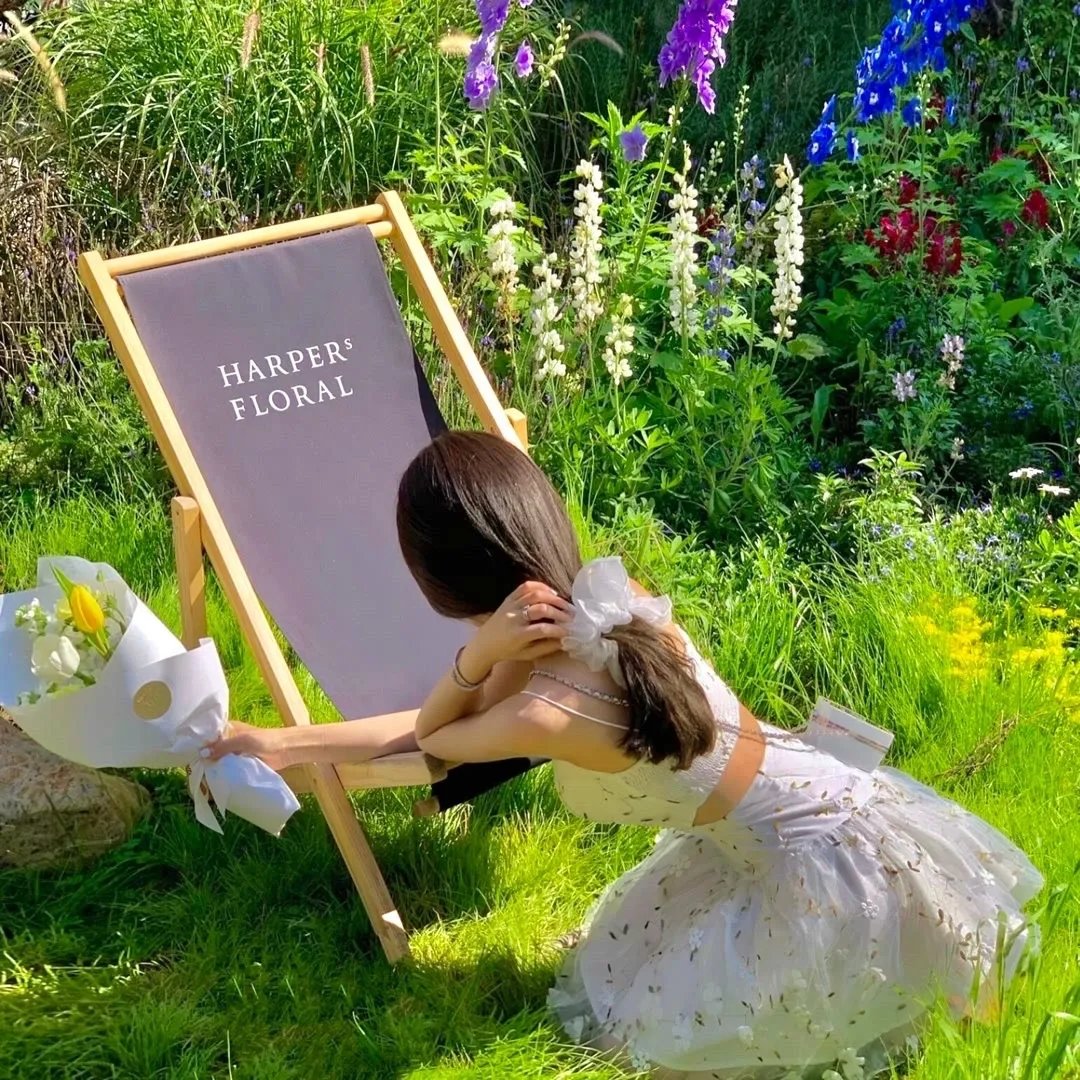 精灵宝可梦:结晶塔的帝王国语